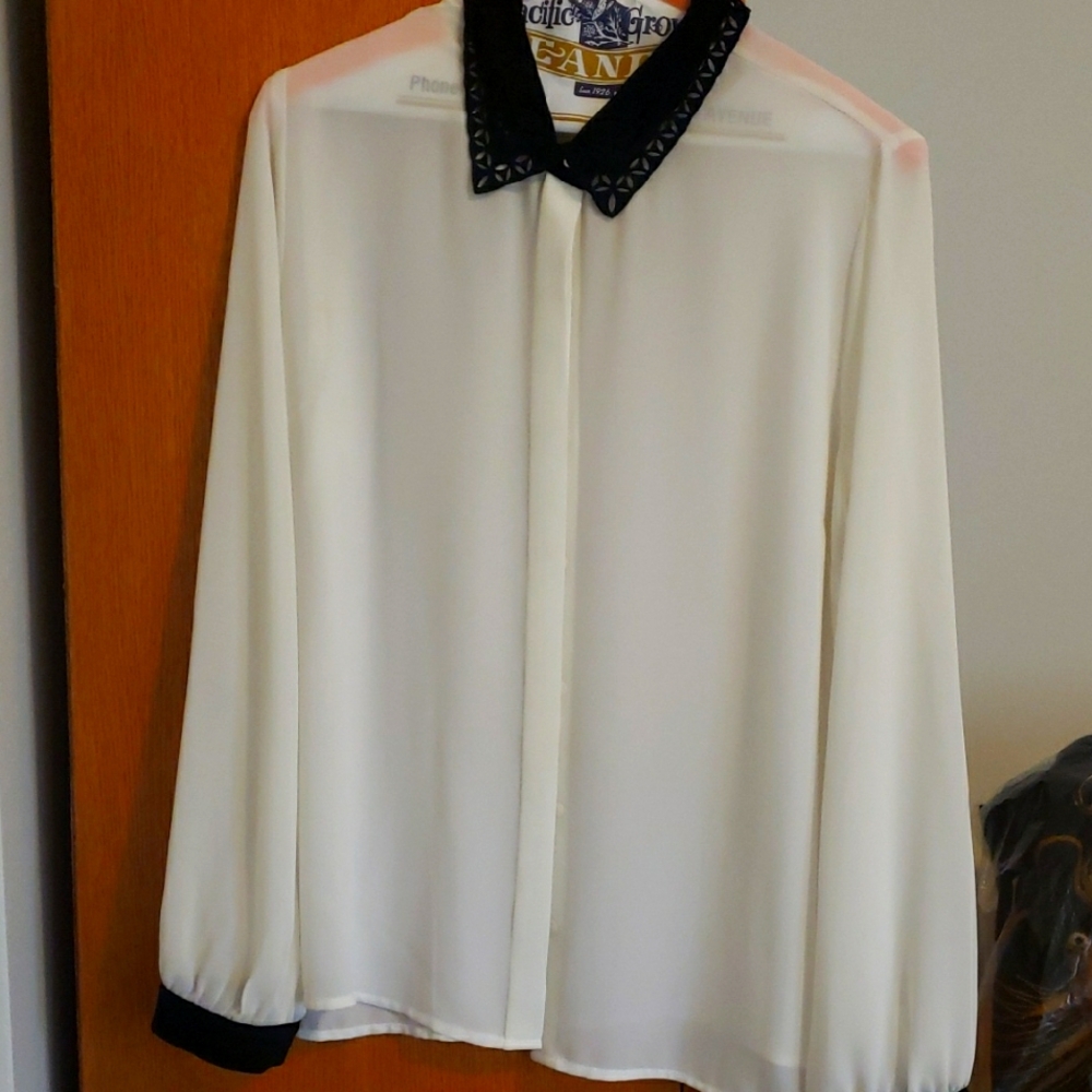 Elegant Sheer Blouse With delicate blk cut out collar..L
